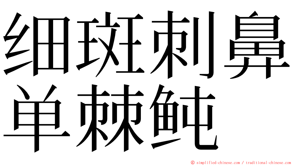 细斑刺鼻单棘鲀 ming font