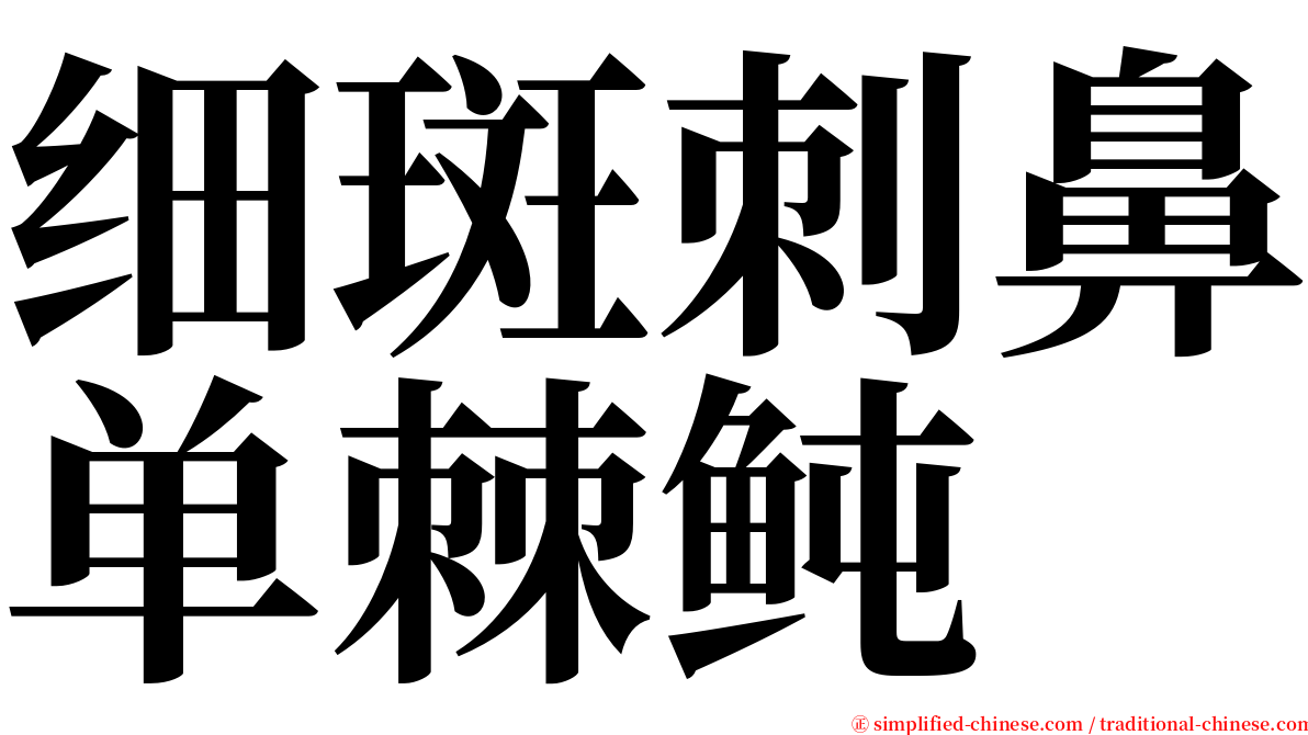 细斑刺鼻单棘鲀 serif font