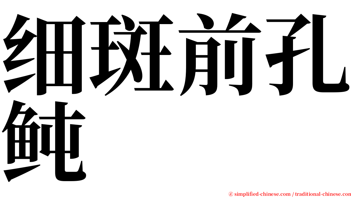 细斑前孔鲀 serif font