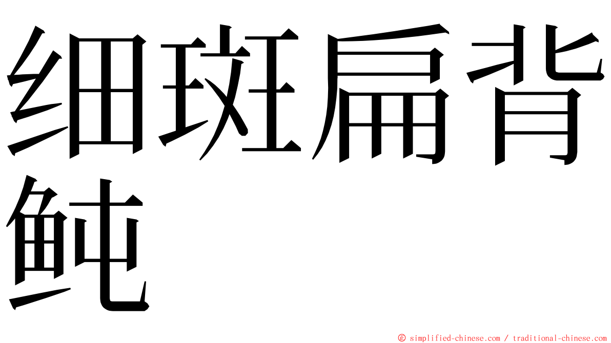 细斑扁背鲀 ming font