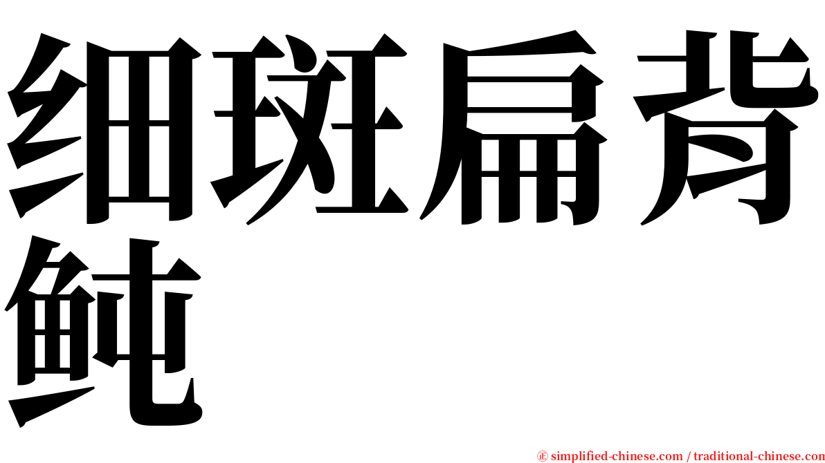 细斑扁背鲀 serif font