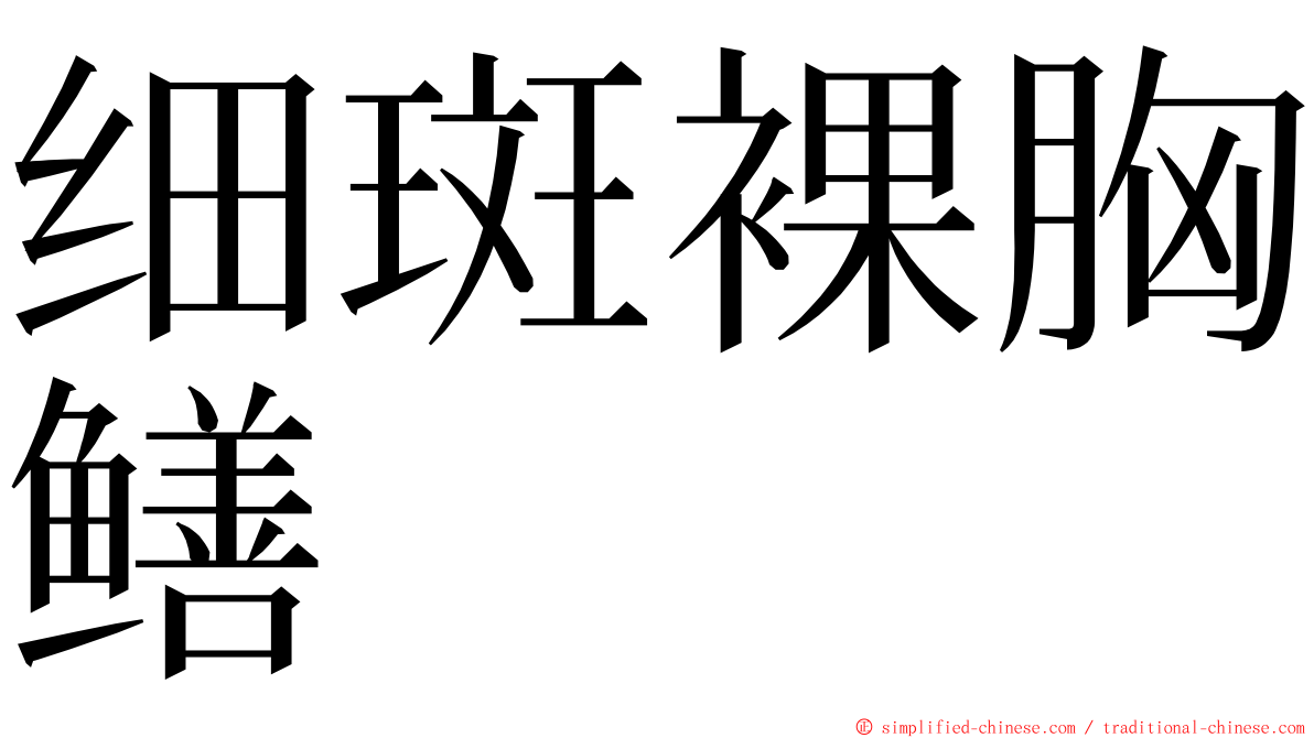 细斑裸胸鳝 ming font