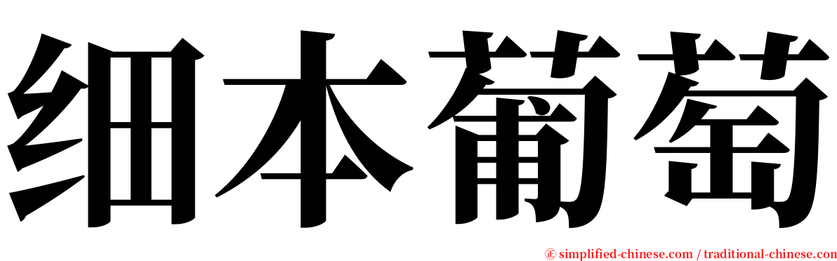 细本葡萄 serif font