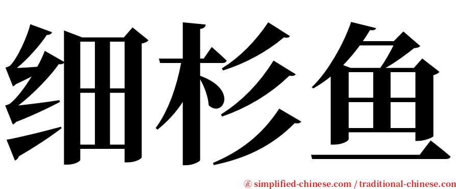 细杉鱼 serif font