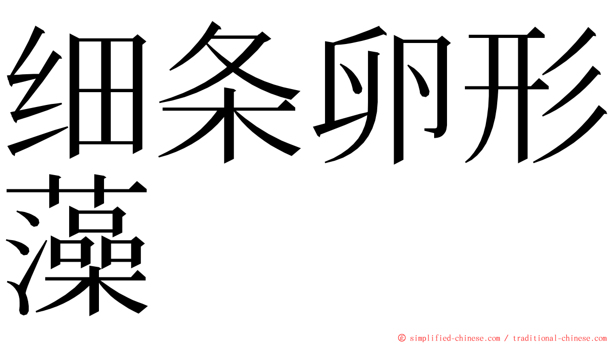 细条卵形藻 ming font