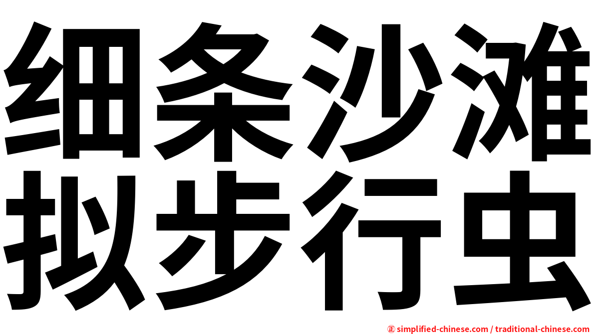 细条沙滩拟步行虫