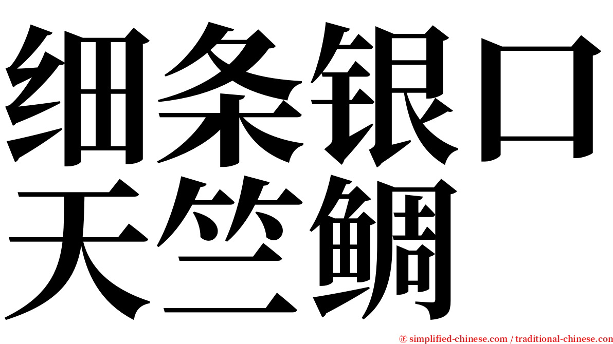 细条银口天竺鲷 serif font