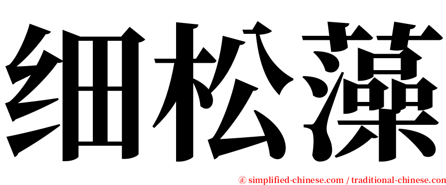 细松藻 serif font