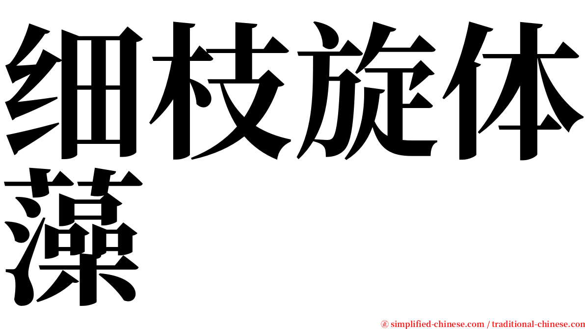 细枝旋体藻 serif font