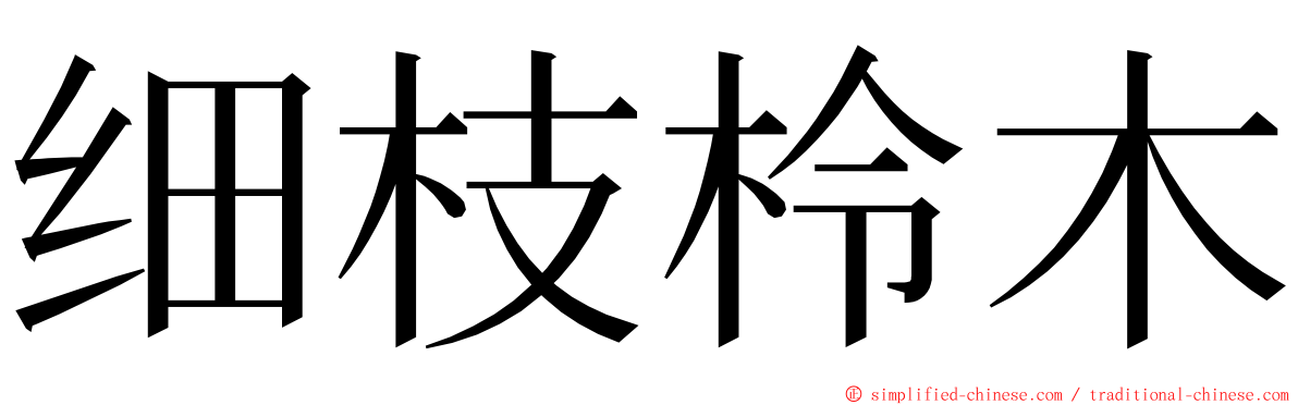 细枝柃木 ming font