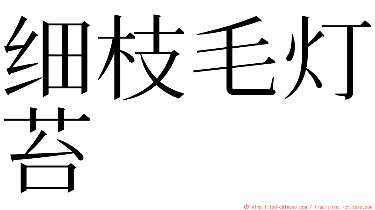 细枝毛灯苔 ming font