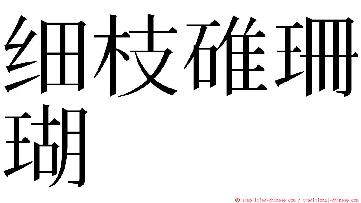 细枝碓珊瑚 ming font