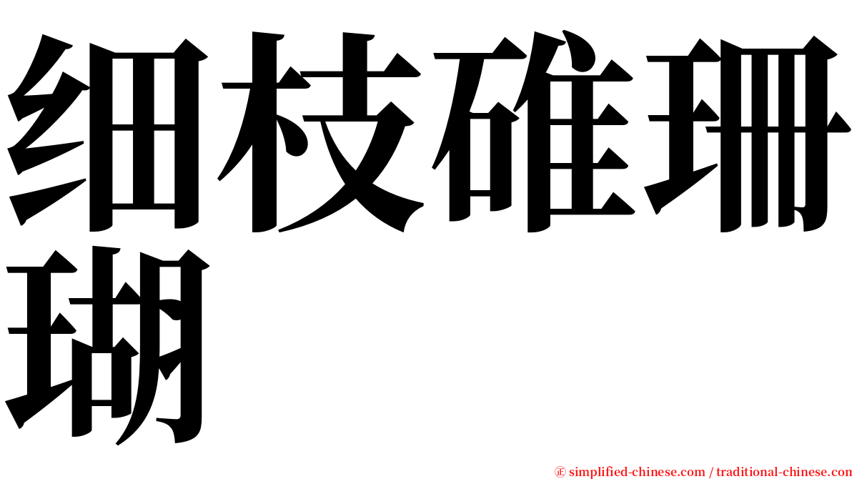 细枝碓珊瑚 serif font