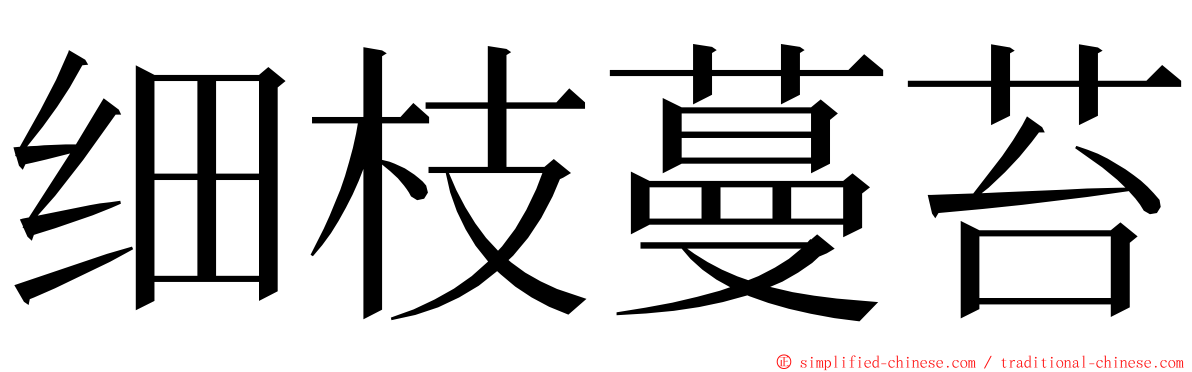 细枝蔓苔 ming font