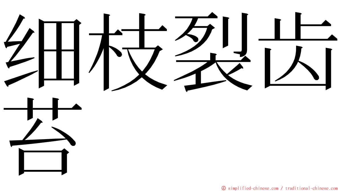 细枝裂齿苔 ming font