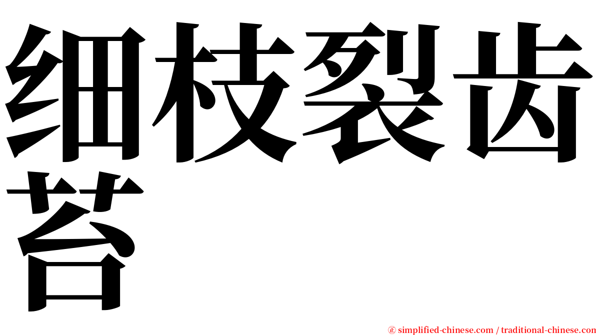 细枝裂齿苔 serif font