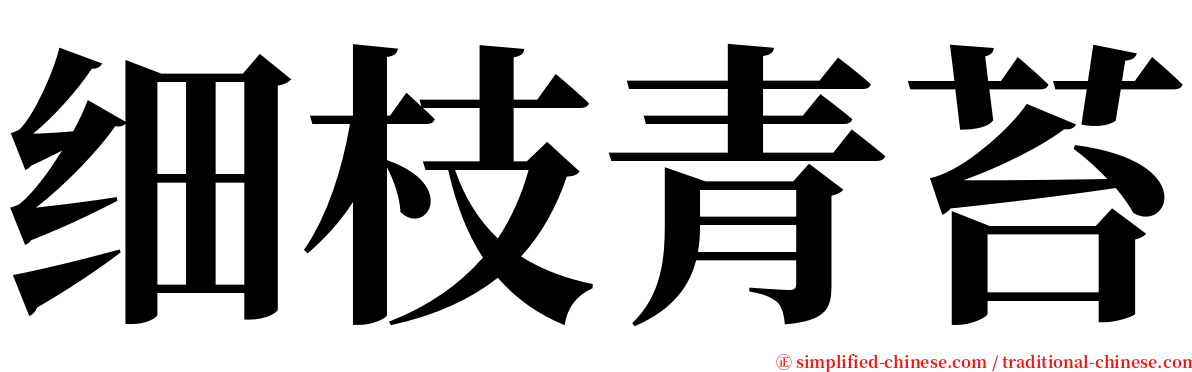 细枝青苔 serif font