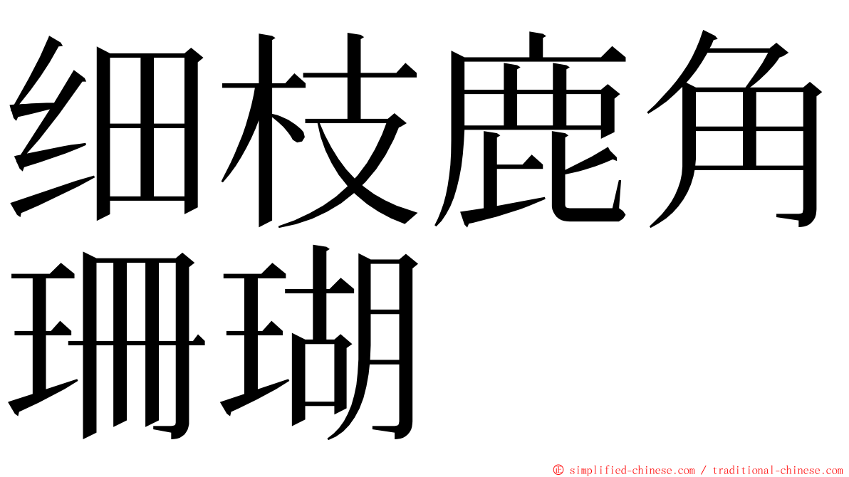 细枝鹿角珊瑚 ming font