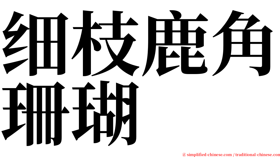 细枝鹿角珊瑚 serif font