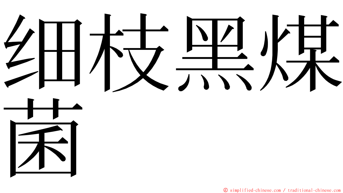 细枝黑煤菌 ming font