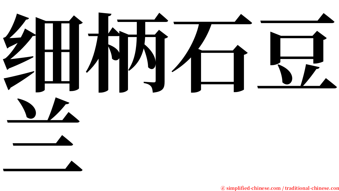 细柄石豆兰 serif font