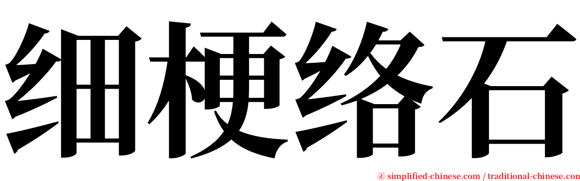 细梗络石 serif font