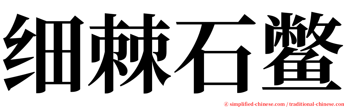 细棘石鳖 serif font