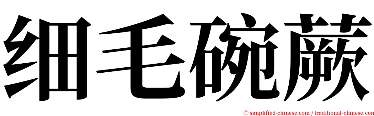 细毛碗蕨 serif font