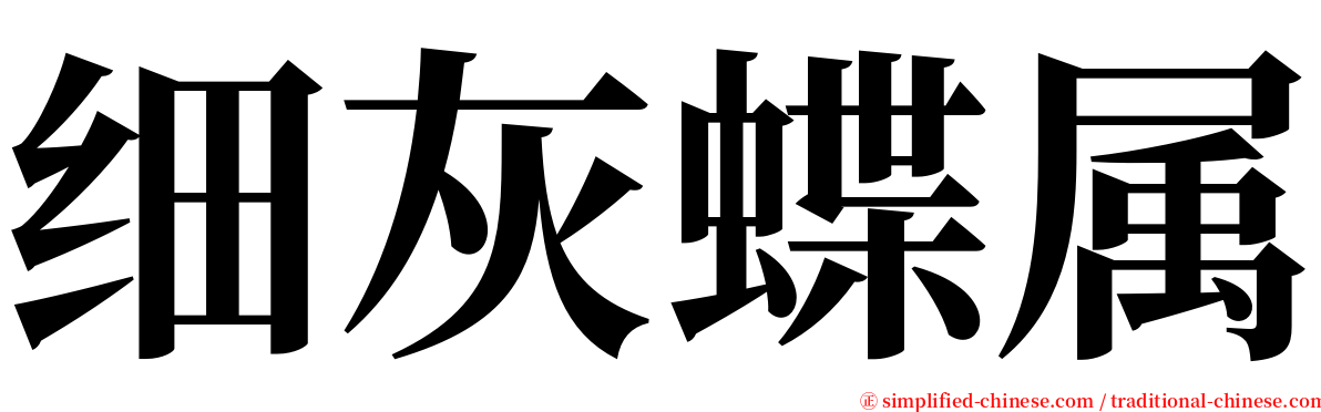 细灰蝶属 serif font