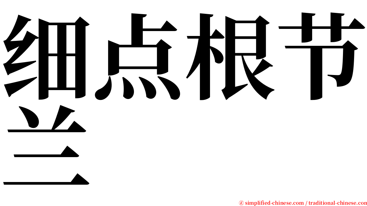 细点根节兰 serif font