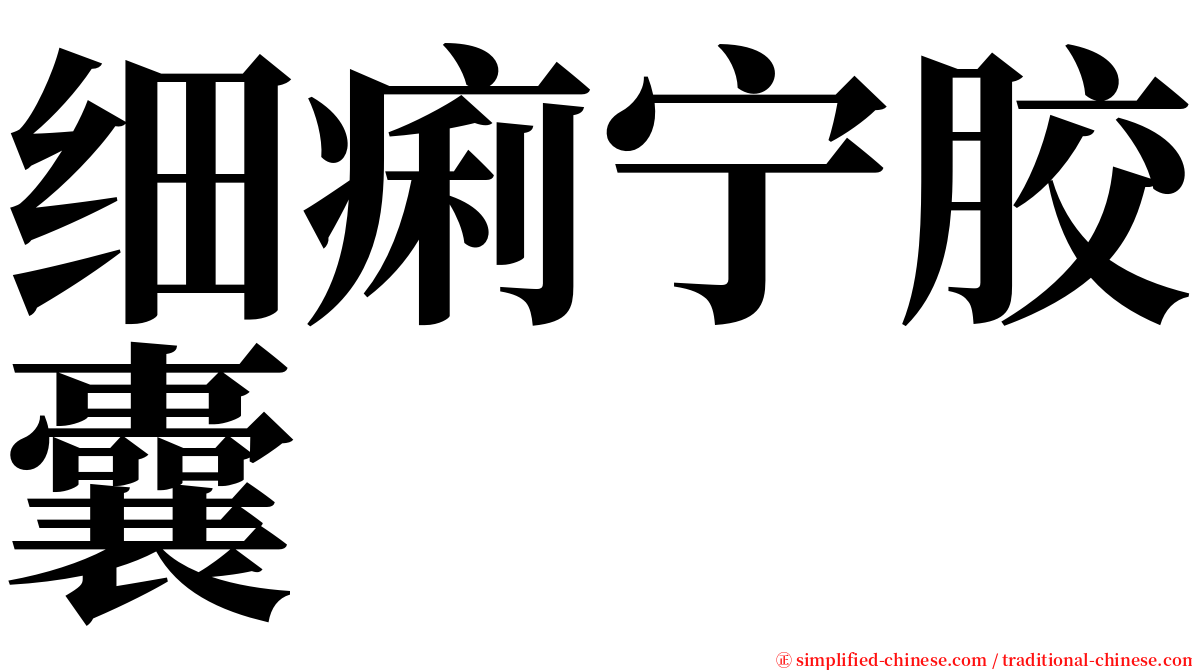 细痢宁胶囊 serif font