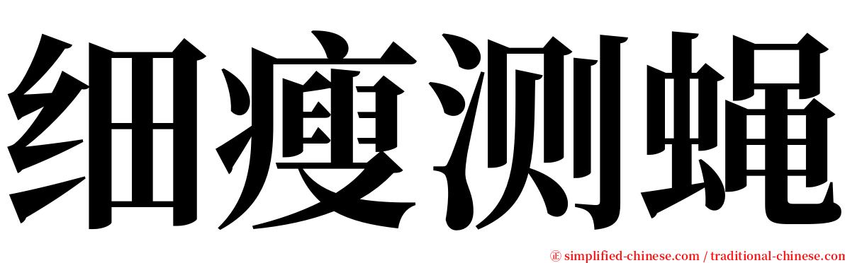 细瘦测蝇 serif font