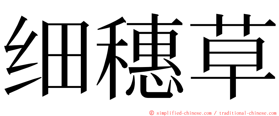 细穗草 ming font