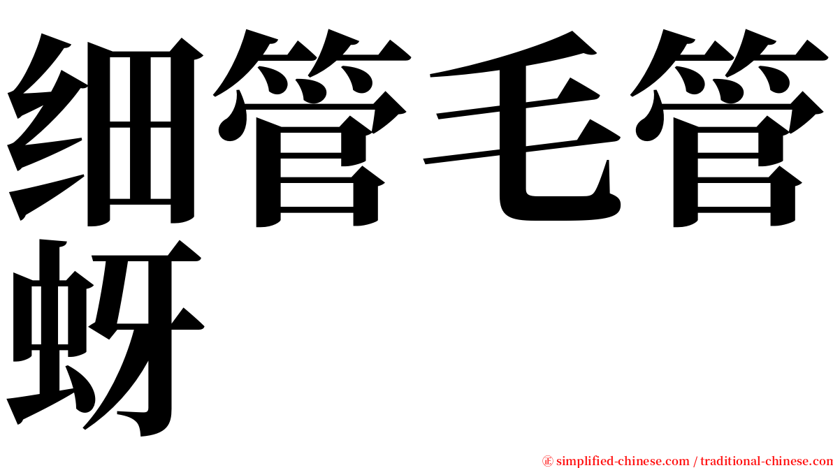 细管毛管蚜 serif font