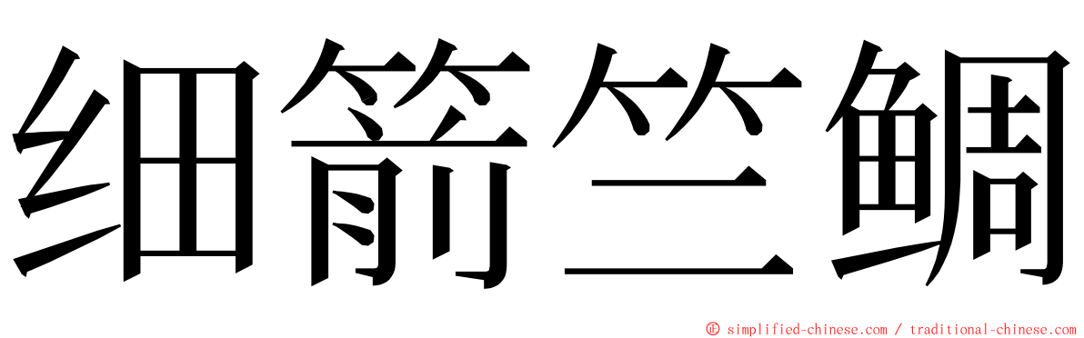 细箭竺鲷 ming font