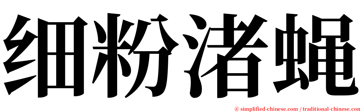 细粉渚蝇 serif font