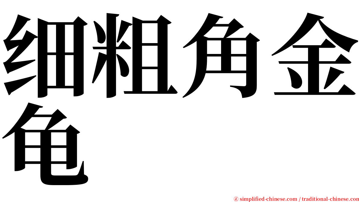 细粗角金龟 serif font