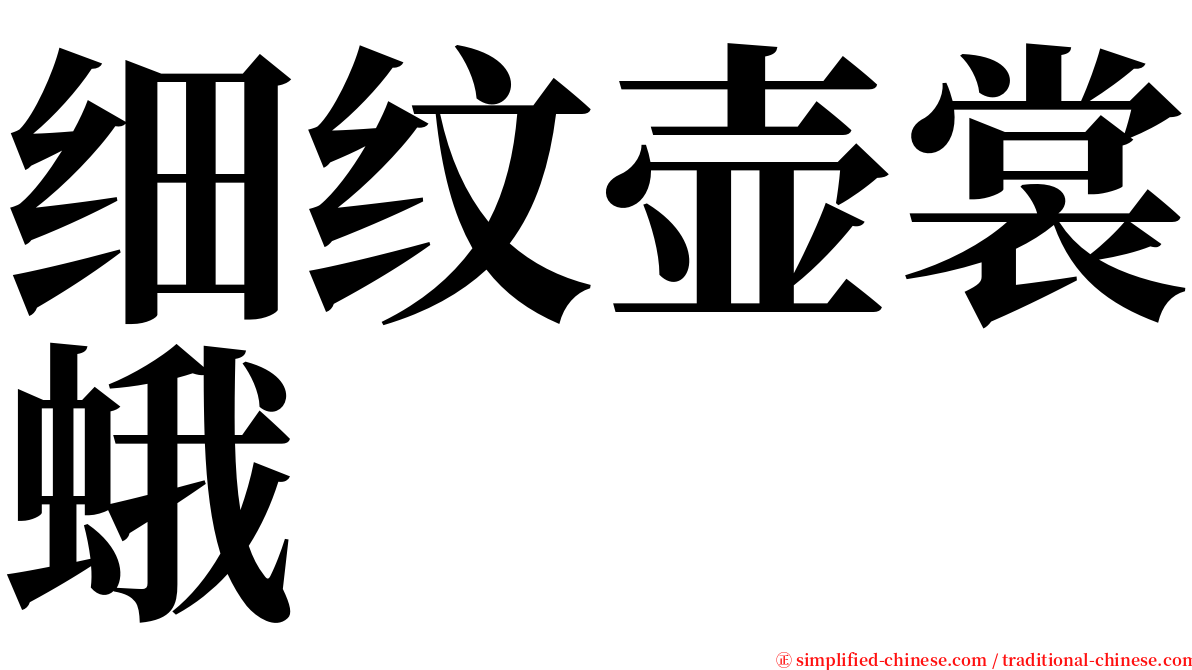 细纹壶裳蛾 serif font