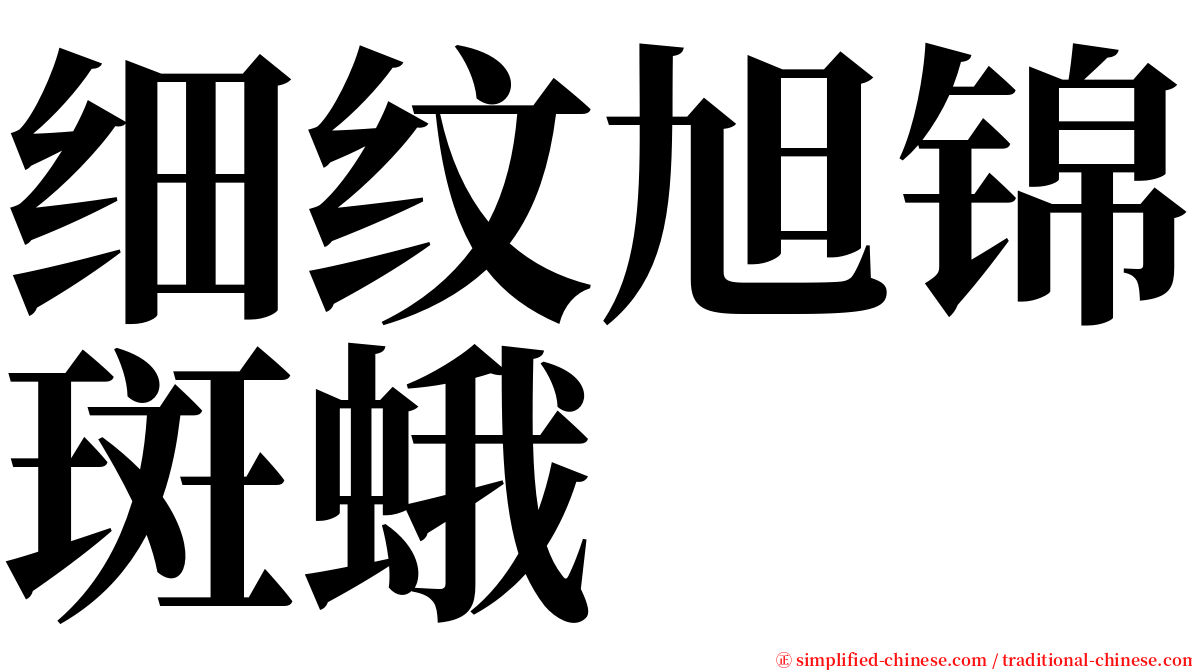 细纹旭锦斑蛾 serif font