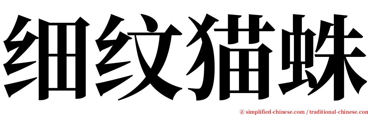 细纹猫蛛 serif font