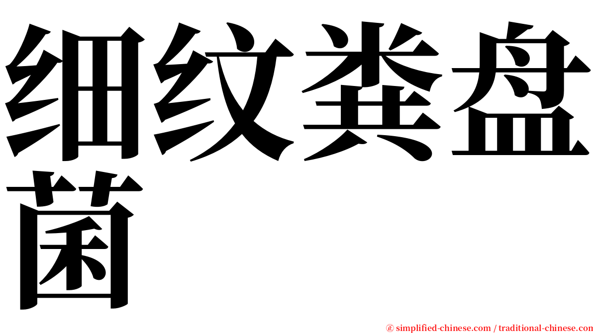 细纹粪盘菌 serif font