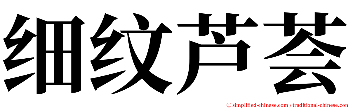 细纹芦荟 serif font