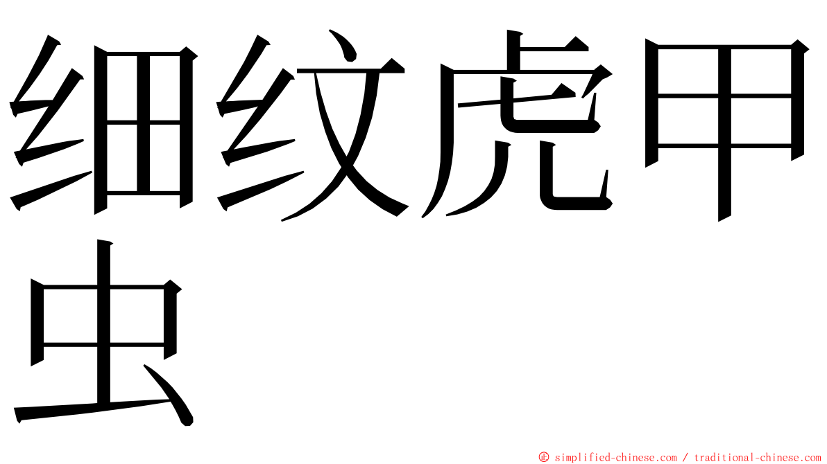 细纹虎甲虫 ming font