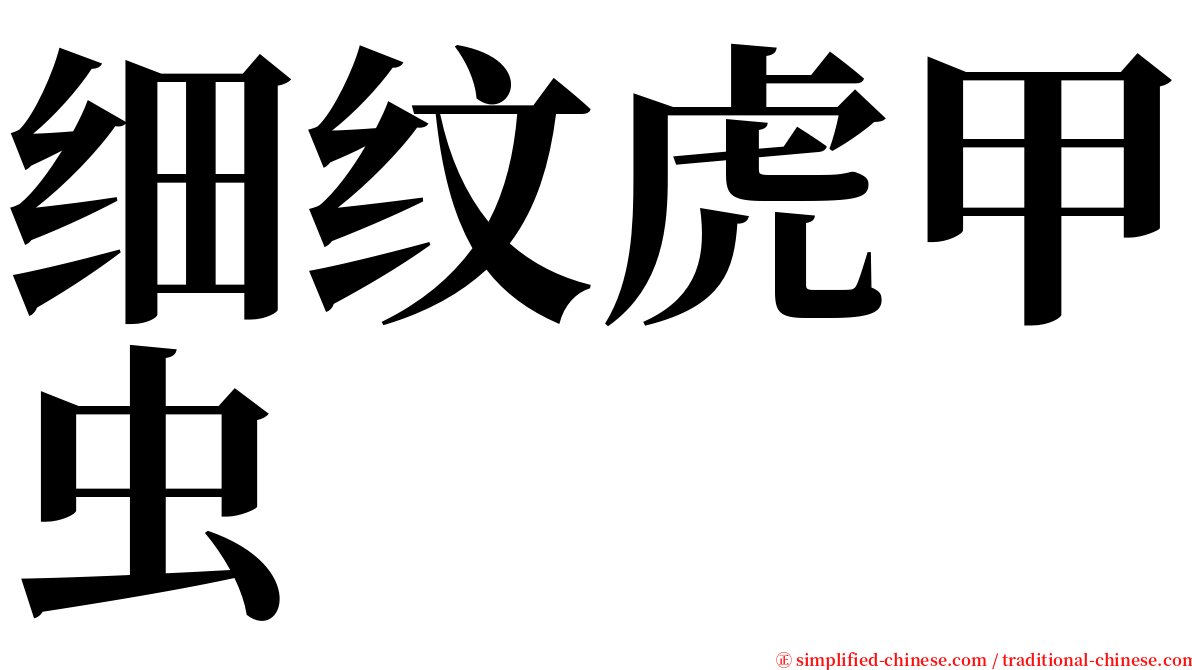 细纹虎甲虫 serif font