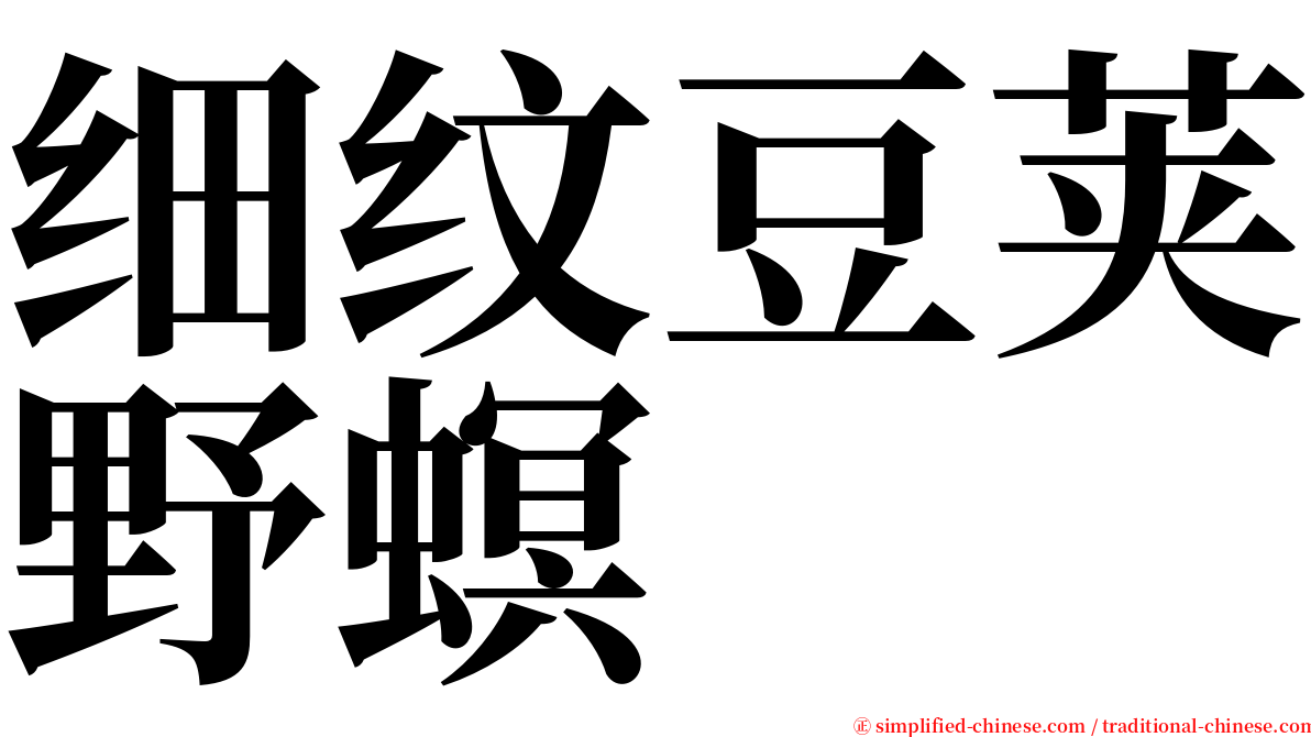 细纹豆荚野螟 serif font