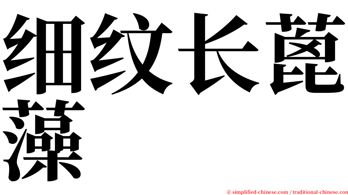 细纹长蓖藻 serif font