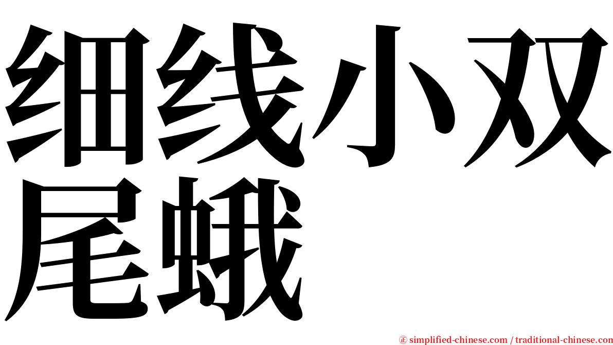 细线小双尾蛾 serif font