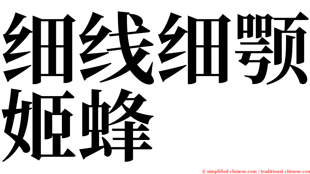 细线细颚姬蜂 serif font