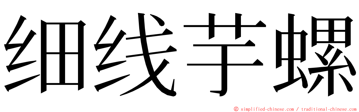 细线芋螺 ming font
