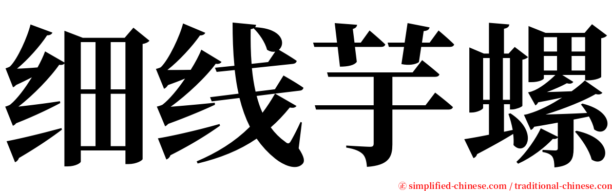 细线芋螺 serif font